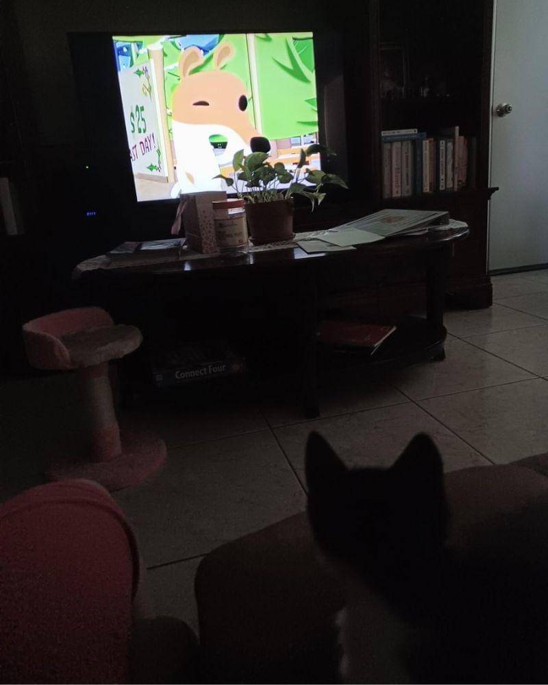 reddit.com/user/Harboring_Darkness